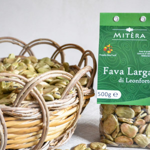 Fava Larga di Leonforte