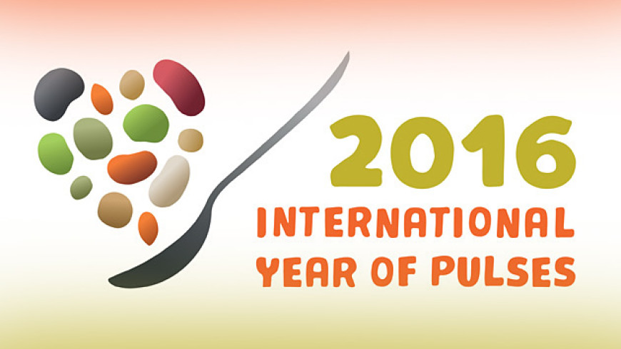Il 2016 Anno Internazionale dei legumi per la FAO: fagioli, fave, piselli, lenticchie in primo piano